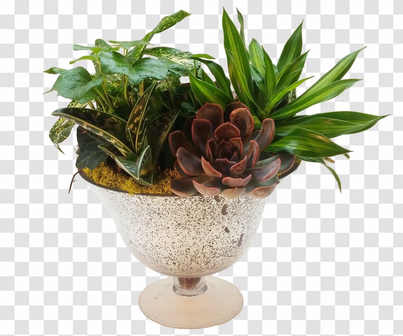 Flowerpot Floral Design Artificial Flower Floristry - Suculent Transparent PNG