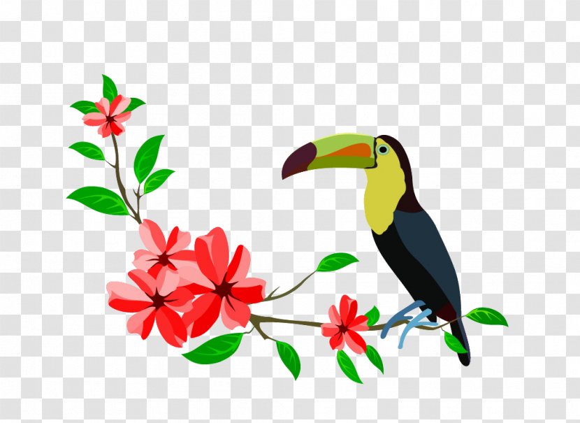 Bird Parrot Clip Art - Android Transparent PNG