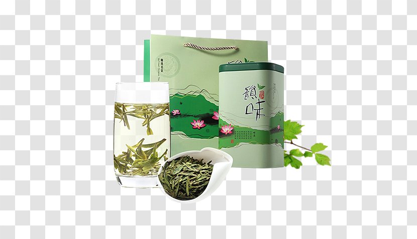Sencha Graphic Design - Longjing Tea - Green Transparent PNG
