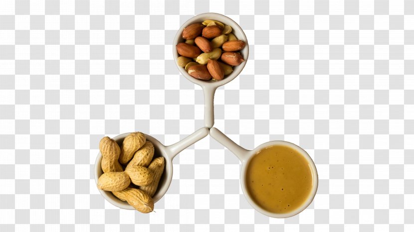 Eating Vegetarian Cuisine Nut Food Meal - Fruit - Cranberry Beans Nutrition Facts Transparent PNG