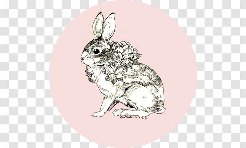Hare Rabbit Drawing Illustrator - Rabits And Hares - Watercolor Bunny Transparent PNG