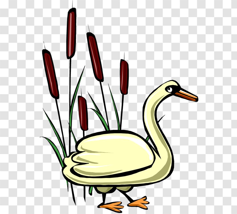 Cygnini Duck Goose Clip Art - Fauna - Swan Vector Transparent PNG