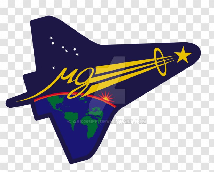 STS-107 Space Shuttle Program Columbia Disaster STS-129 Logo - Flower - Sts Transparent PNG