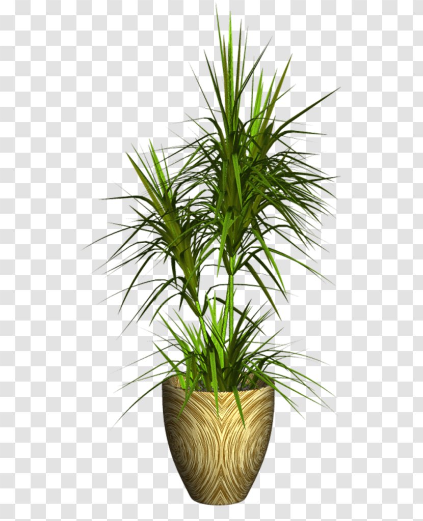 Vase Flowerpot Houseplant Image - Blog Transparent PNG