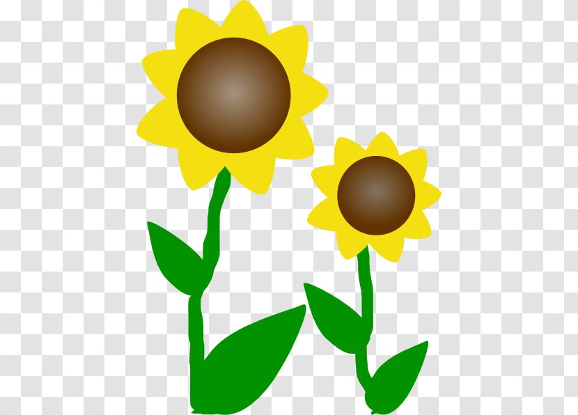 Flower Clip Art - Artwork - Sunflower Cartoon Transparent PNG