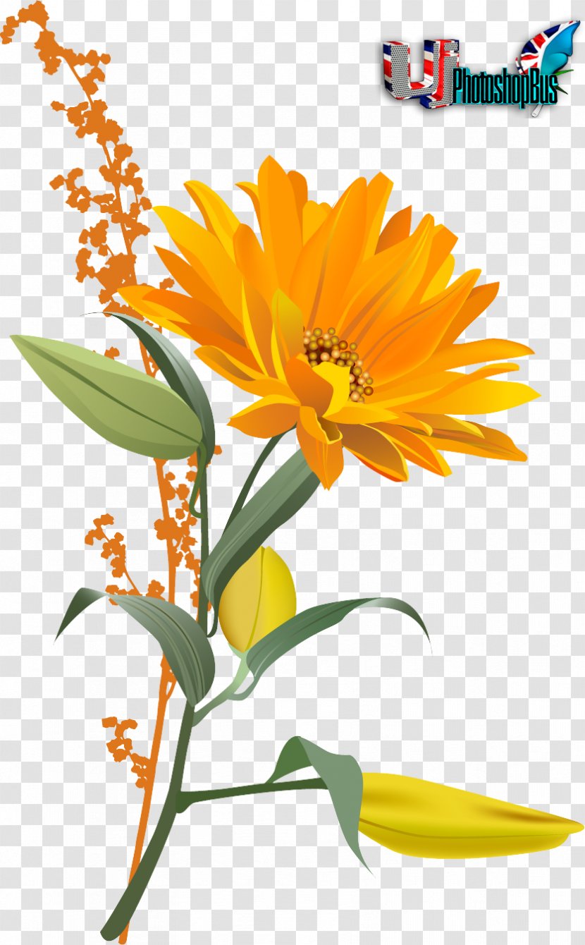 Bee Pollination Common Sunflower - Petal - 3d Transparent PNG