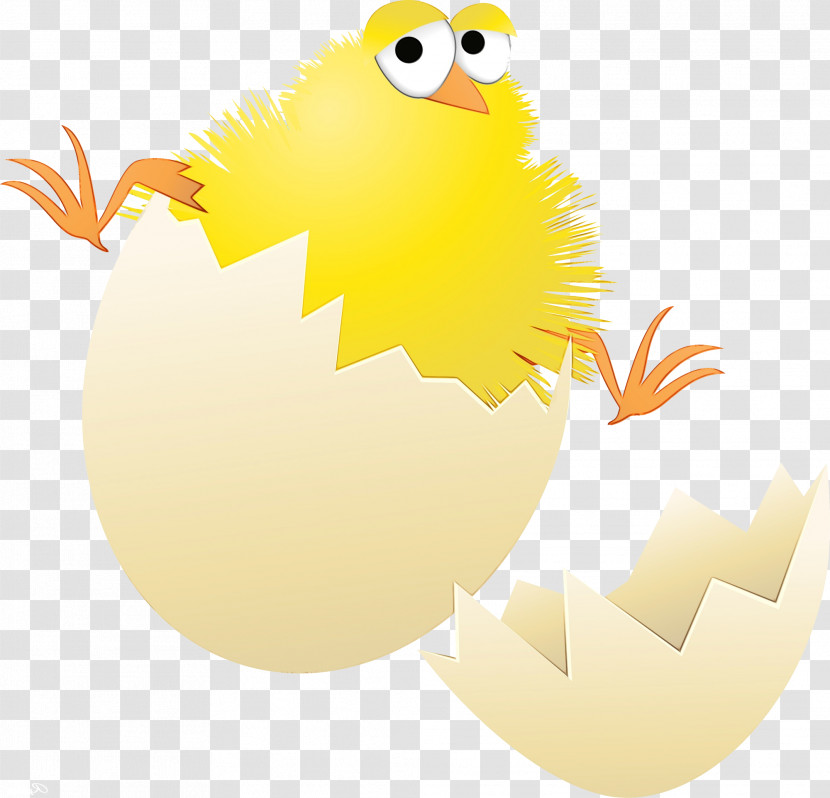 Egg Transparent PNG