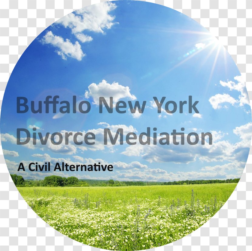 Buffalo NY Divorce Mediation - Meadow - Blasdell MediationBuffalo MediationHamburgNotary Transparent PNG