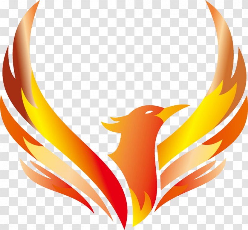 Logo Phoenix Illustration - Design - Vector Transparent PNG