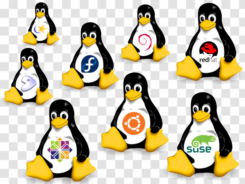 SUSE Linux Distributions Operating Systems Ubuntu Transparent PNG