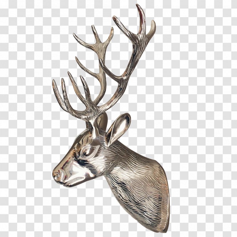 Reindeer Antler Wildlife - Deer Transparent PNG