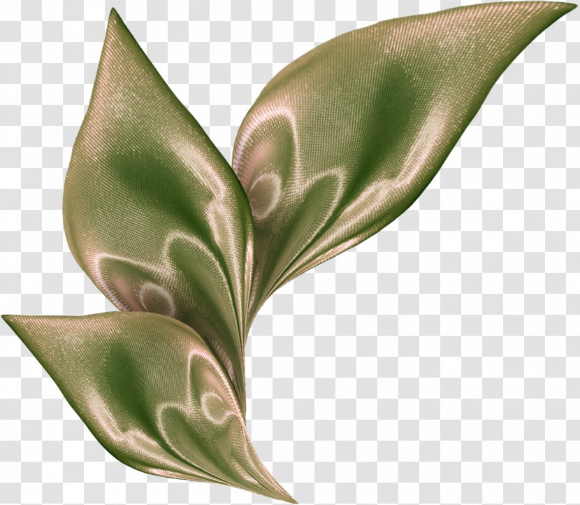 Leaf Flower Plant Stem - Arum - YARN Transparent PNG
