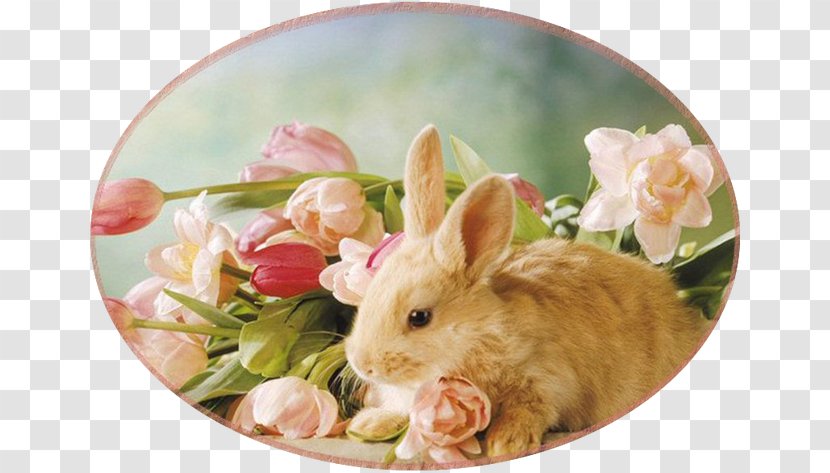 Easter Bunny Rodent Rabbit Grove Hill Floral Transparent PNG