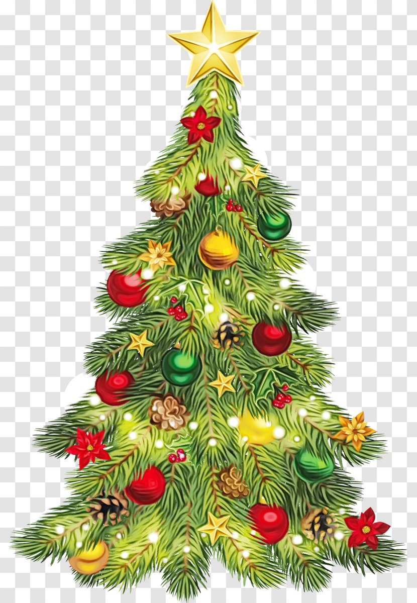 Christmas Tree - Ornament - Evergreen Pine Transparent PNG