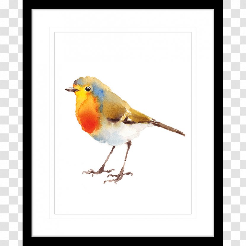 European Robin Watercolor Painting Drawing Art - Old World Flycatcher - Bird Transparent PNG