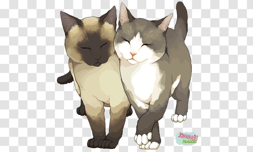 Kitten Siamese Cat Cats: The Collection Illustration Drawing - Watercolor Drawings Transparent PNG