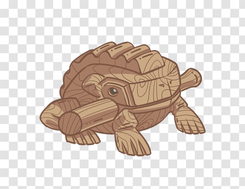 Wood Tortoise - Mammal - Hand-painted Animals Transparent PNG