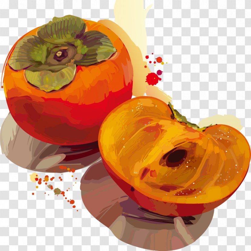 Punch Persimmon - Drawing - Vector Transparent PNG