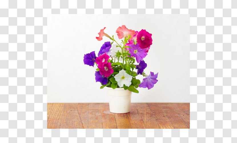 Petunia Gardening Impatiens Flowerpot - Flower Bouquet - Herb Garden Transparent PNG
