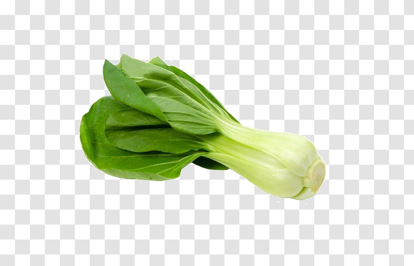 Basil Leaf - Romaine Lettuce - Tatsoi Transparent PNG