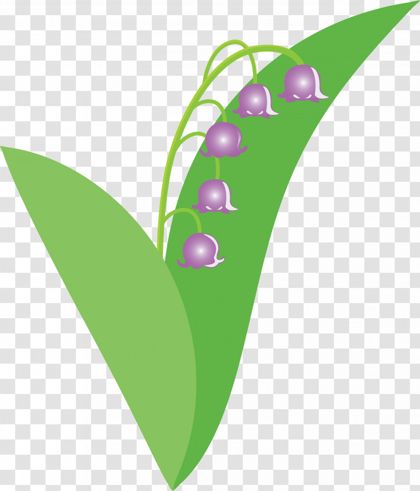 Lily Bell Flower Transparent PNG