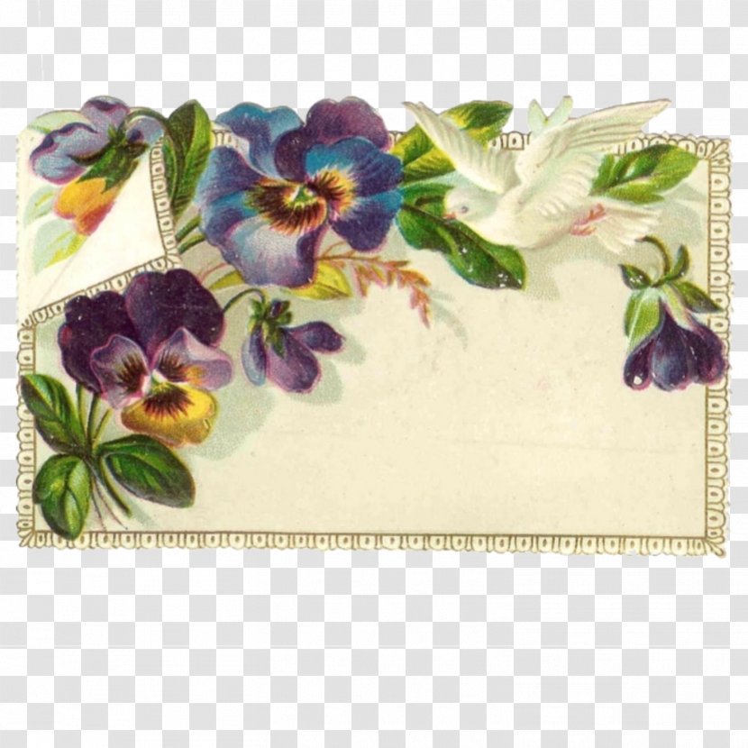 Floral Design Pansy Violet Clip Art - Flower - Pansies Transparent PNG