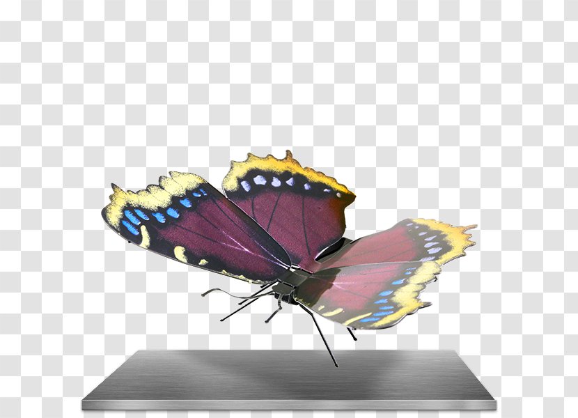 Monarch Butterfly Mourning Cloak Metal Plastic Model - Eastern Tiger Swallowtail Transparent PNG
