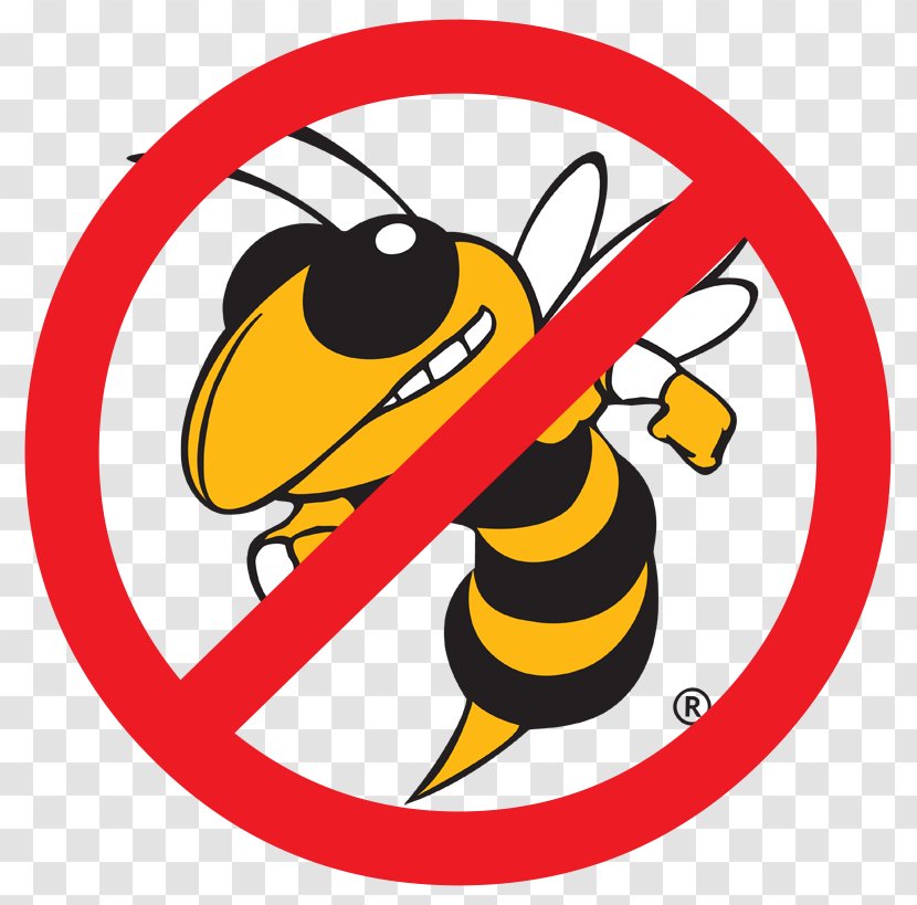 Georgia Institute Of Technology Charlotte Hornets Tech Yellow Jackets Football Vespula - School Transparent PNG