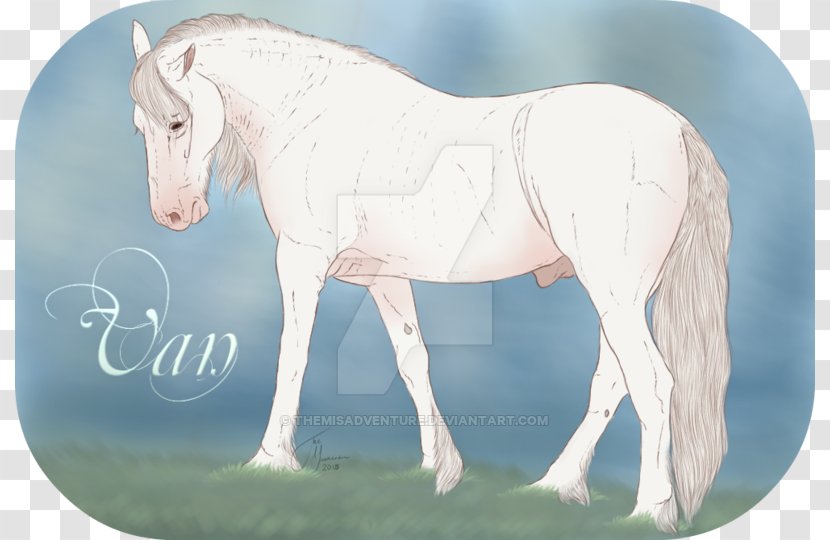 Stallion Mustang Foal Mare Colt - Bridle Transparent PNG