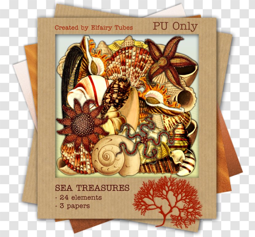 Thanksgiving - Sea Treasure Transparent PNG