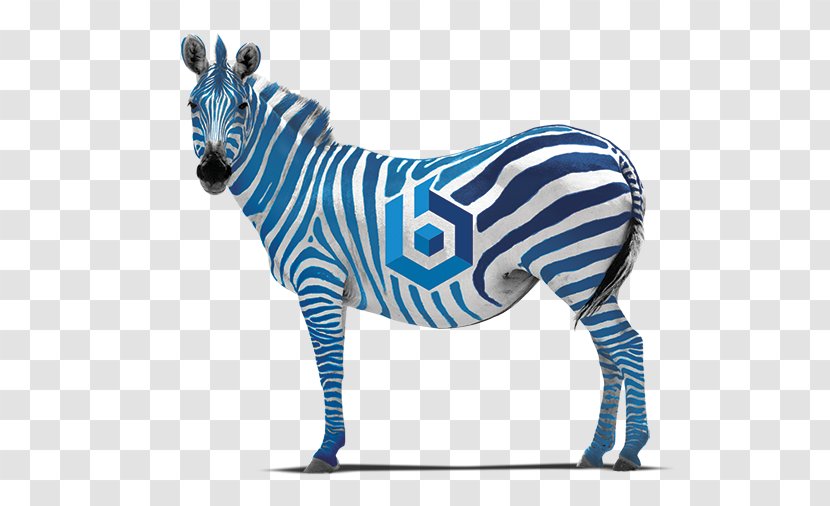 Quagga Zebra Horse Picture Frames Painting Transparent PNG
