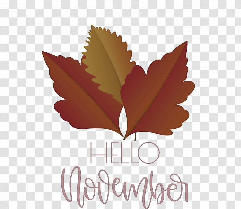 Hello November November Transparent PNG