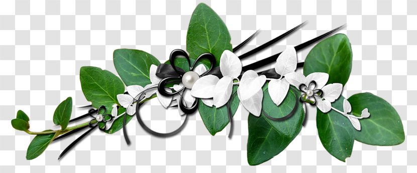 Time No Ga Writer - Flowering Plant Transparent PNG