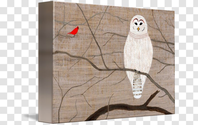 Barred Owl Gallery Wrap Canvas Wood - Bird Transparent PNG