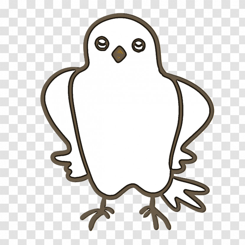 Birds Barn Owl Owls Eastern Screech Owl Snowy Owl Transparent PNG