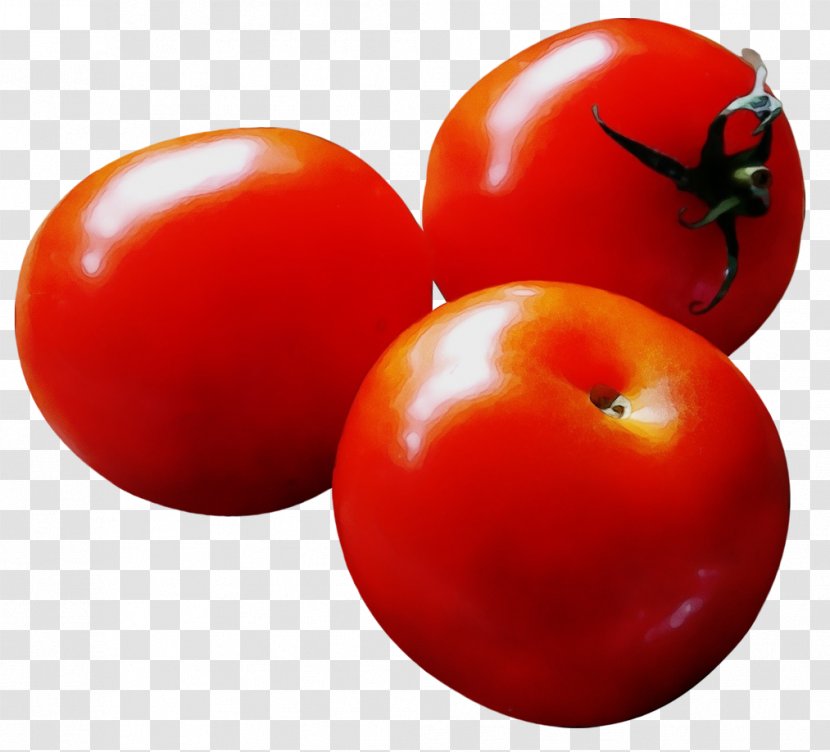 Tomato - Food - Nightshade Family Bush Transparent PNG