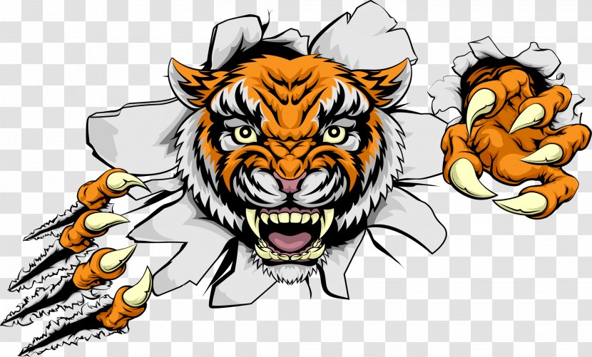 Bengal Tiger Cat Clip Art - Adhesive - Ferocious Transparent PNG