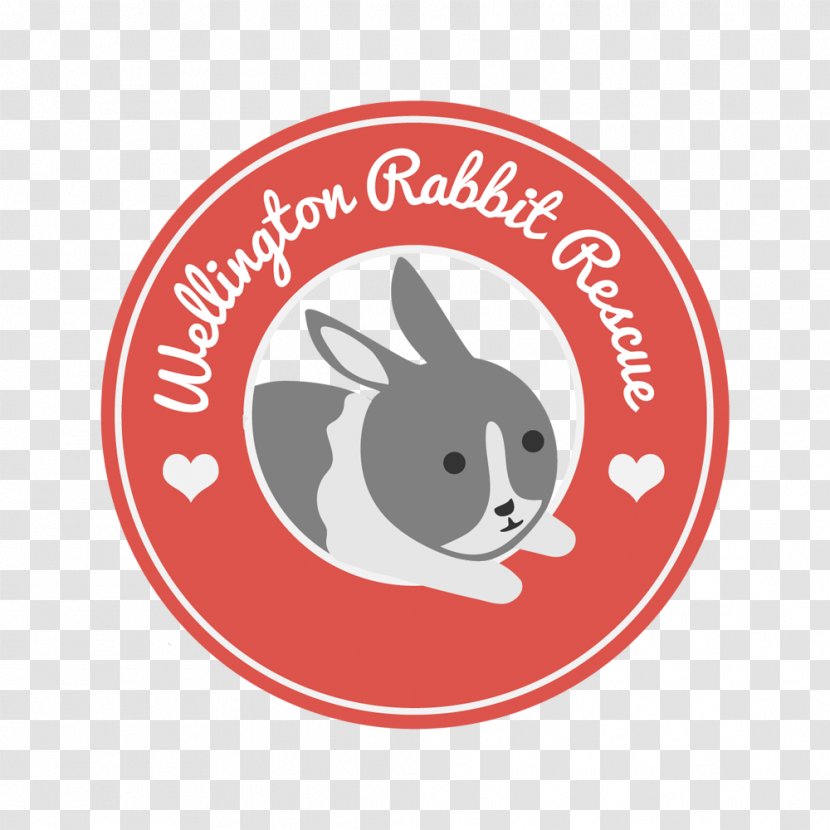 Lionhead Rabbit Pet All About Rabbits Animal - Welfare Transparent PNG