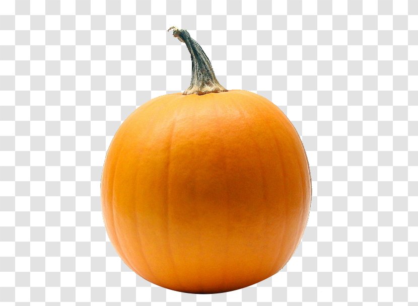 Pumpkin Calabaza Cincinnati Reds Gourd Transparent PNG