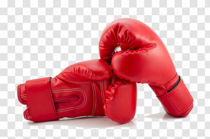 Boxing Glove Stock Photography Stock.xchng - Writer - Gloves Clipart Transparent PNG