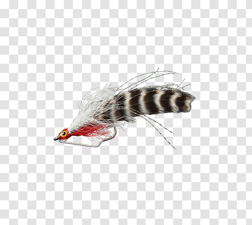 Insect Woolly Bugger Ephydridae Fly Fishing Everglades - Yellow Transparent PNG