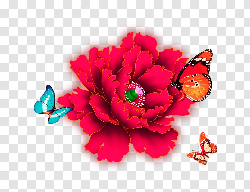 Google Images Christmas Flower - Flowering Plant - Peony Transparent PNG