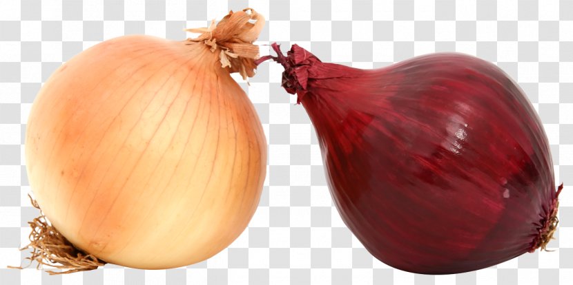 Yellow Onion Red Shallot - Fresh Onions Transparent PNG