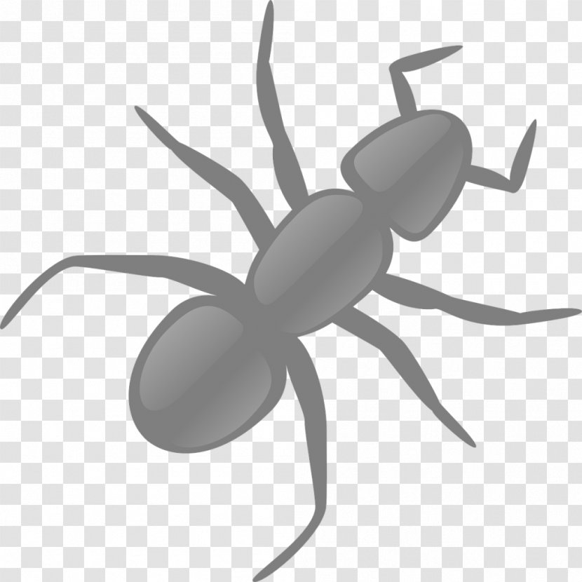 Ant Clip Art - Ants Transparent PNG