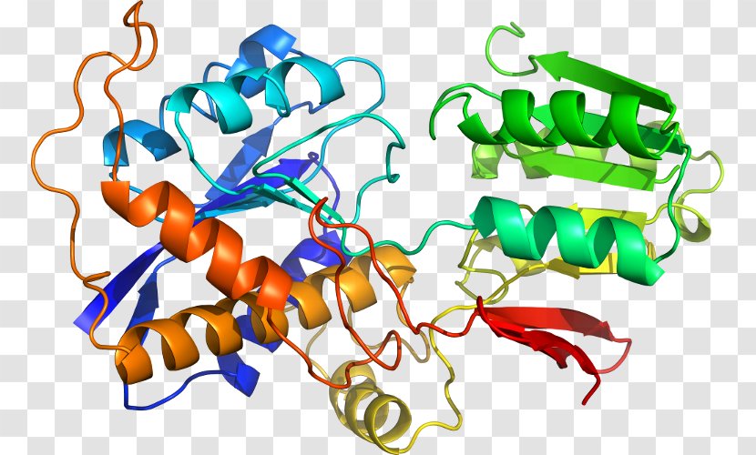 TASP1 Gene Endopeptidase Enzyme Protease - Cartoon - Heart Transparent PNG