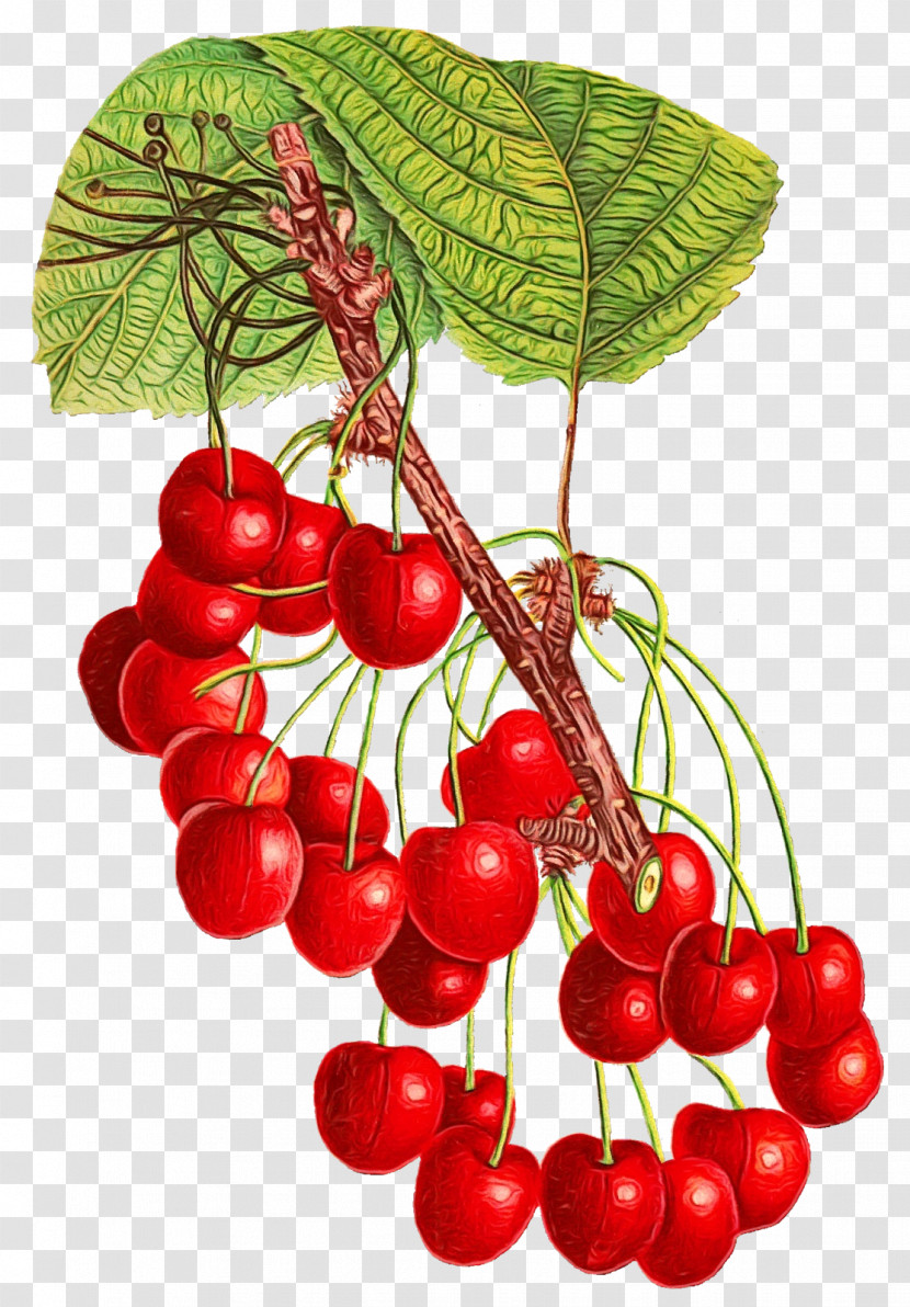 Cherry Berry Fruit Natural Foods Fruit Transparent PNG