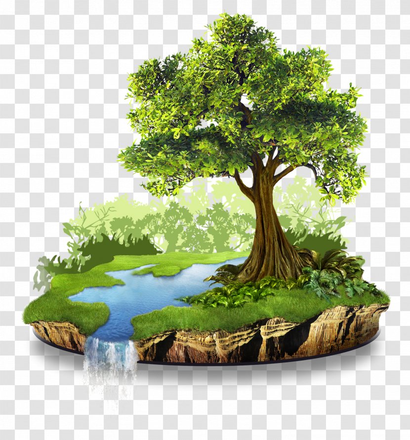 Natural Resource Conservation Nature Environment Transparent PNG