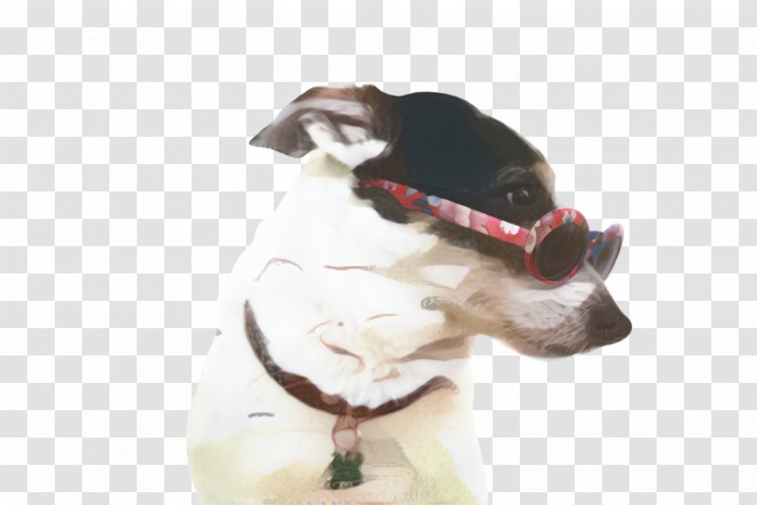 Dog And Cat - Figurine - Pointer Canidae Transparent PNG