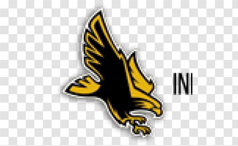 University Of Southern Mississippi Miss Golden Eagles Football Lady Women's Basketball - Bird - Eagle Transparent PNG