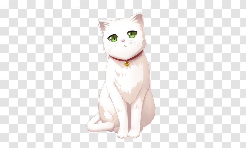 Kitten Whiskers Tabby Cat Domestic Short-haired - Animation - Cute Kittens Transparent PNG